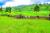 The Importance of Land Preparation in Agriculture